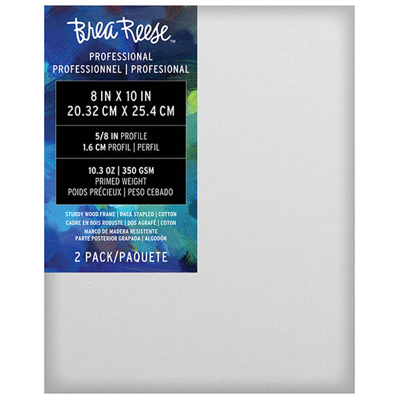 CANVAS – PROFESSIONAL SERIES